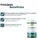 6 Magnésios 90 Caps - Ayeko