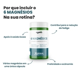 6 Magnésios 90 Caps - Ayeko
